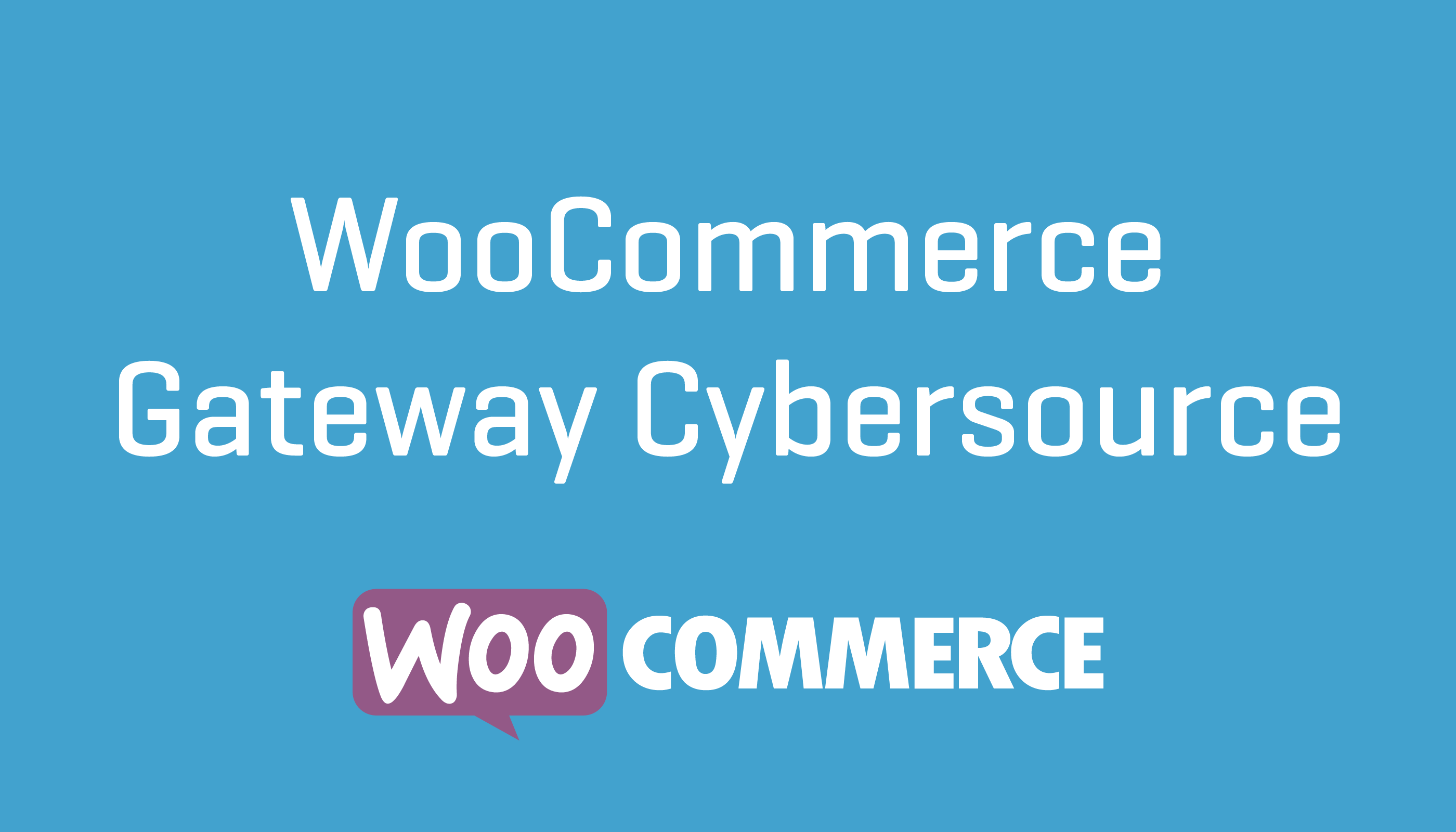 WooCommerce Gateway Cybersource
